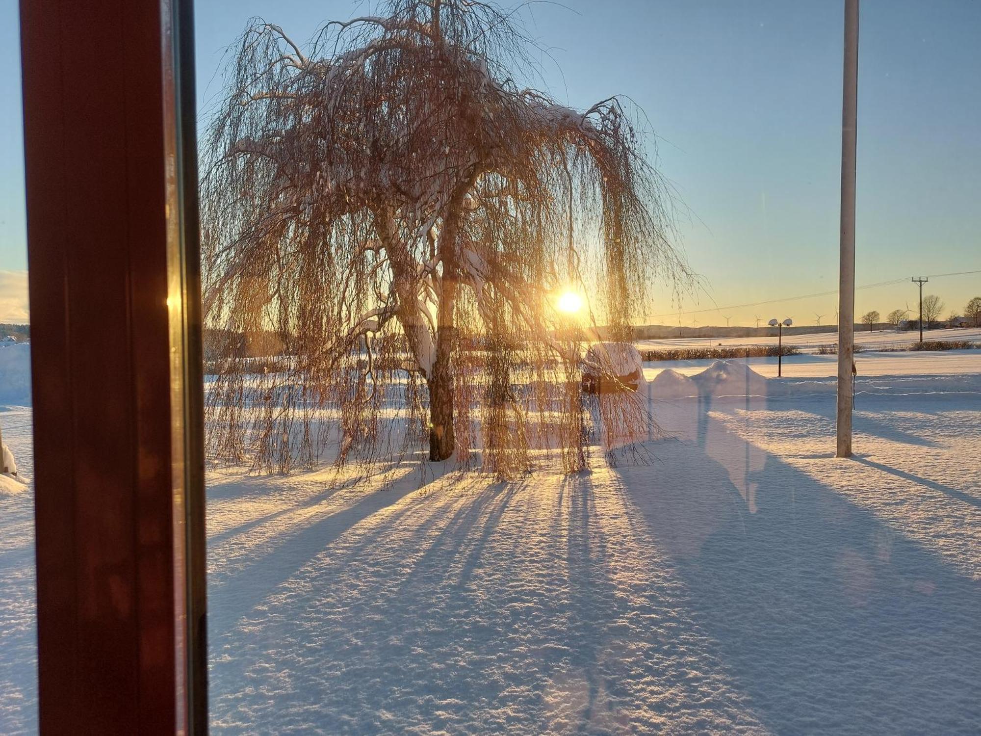 Flora Dekor Gaestgard Guest House Alingsås Екстериор снимка