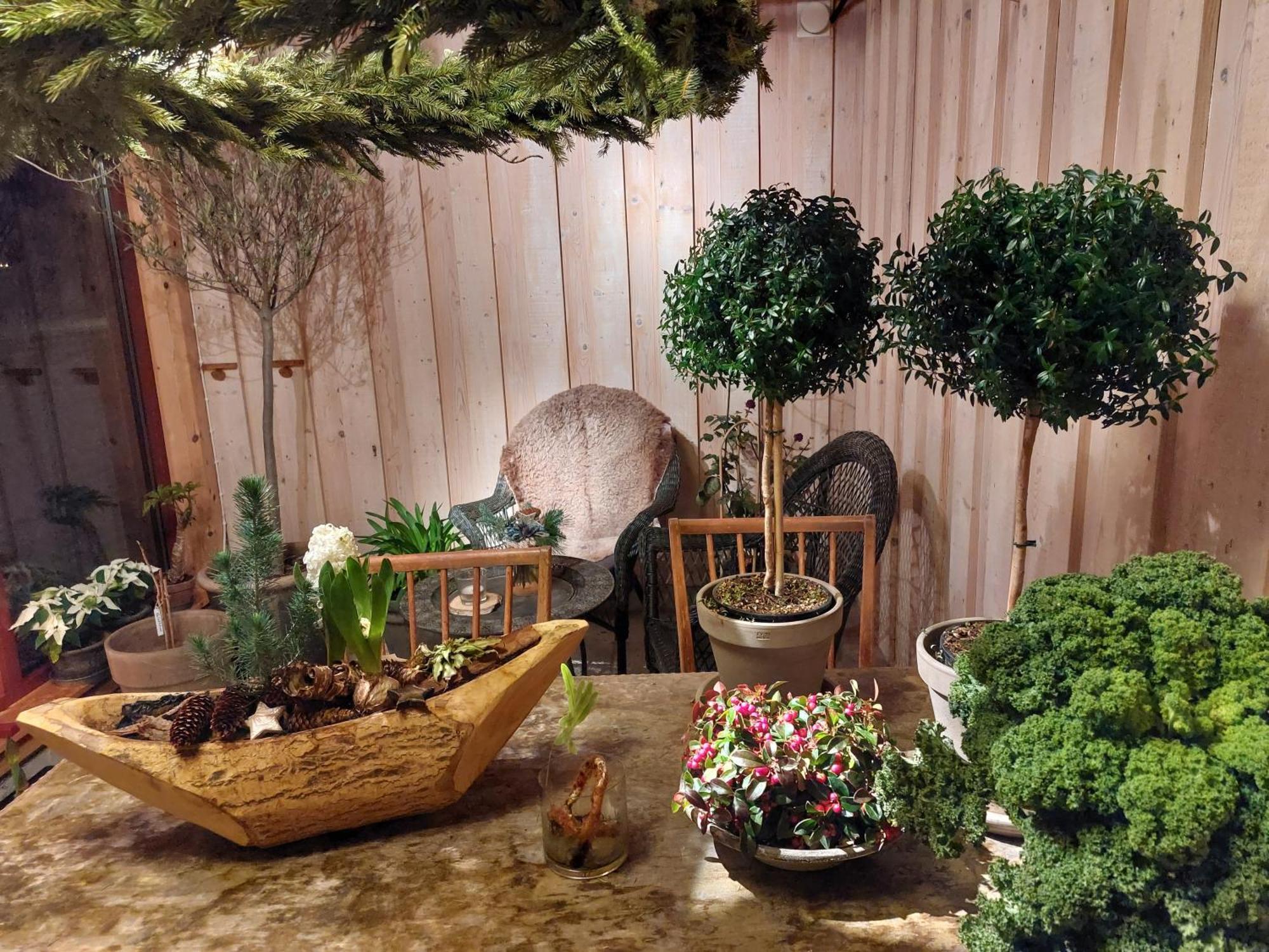 Flora Dekor Gaestgard Guest House Alingsås Екстериор снимка