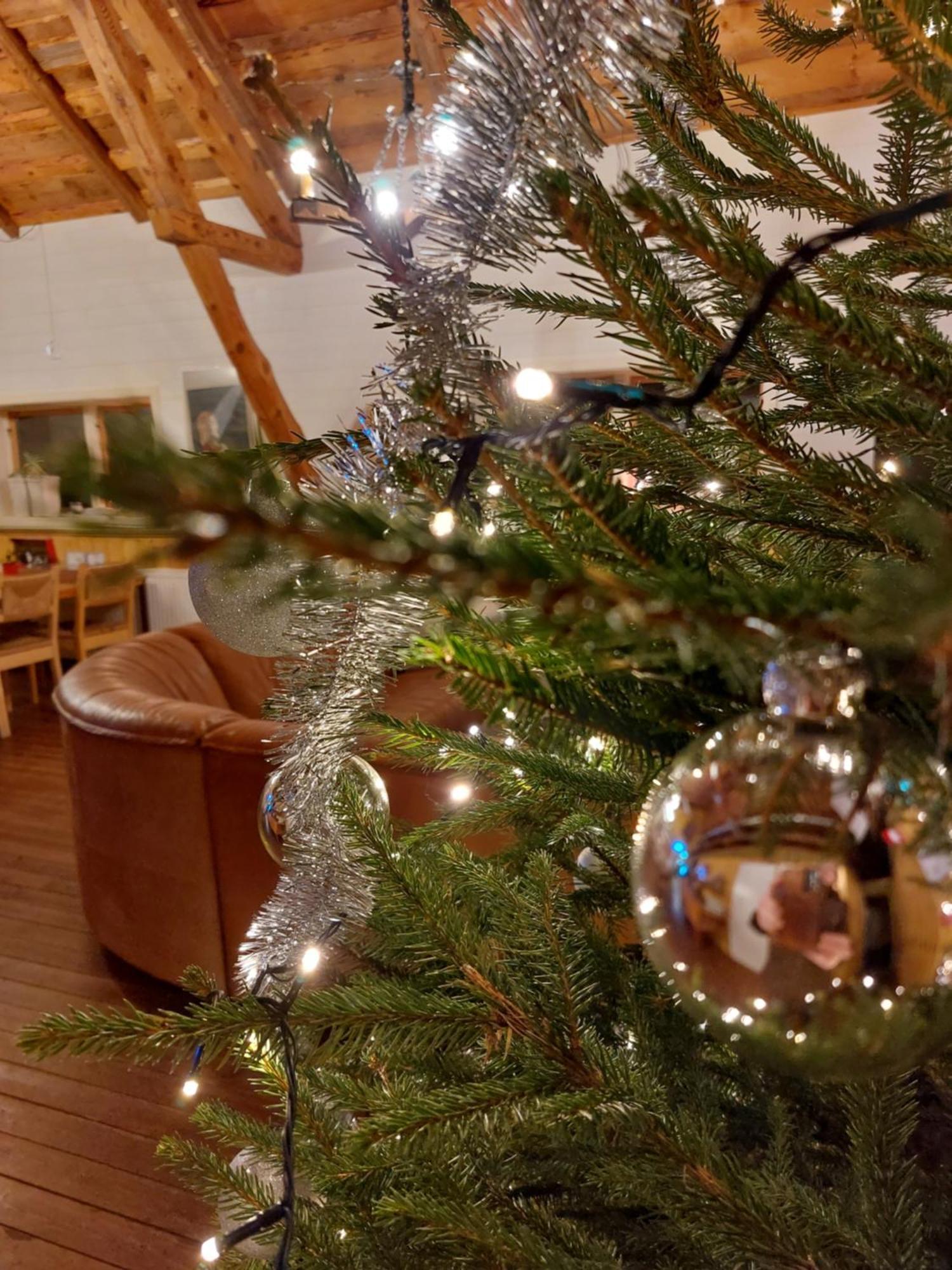 Flora Dekor Gaestgard Guest House Alingsås Екстериор снимка